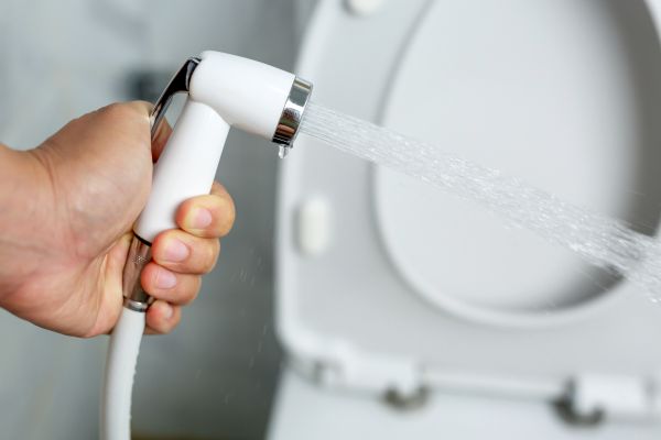 Bidet Installation in Saint Charles