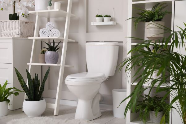 Cost of Toilet Repair in Saint Charles