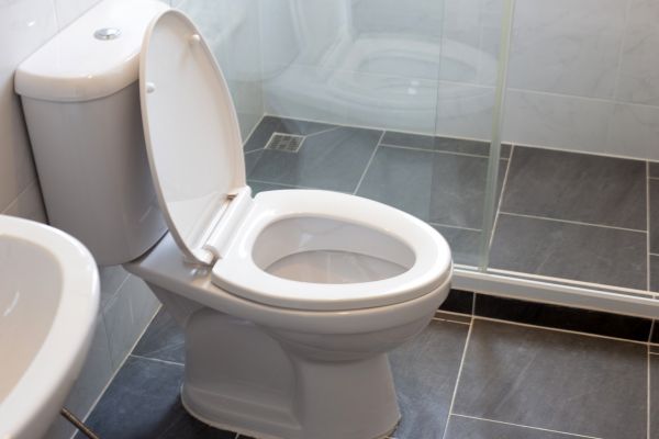 Toilet Replacement in Saint Charles