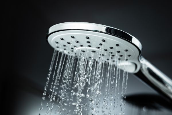 Cost of Shower Head Replacement in Saint Charles