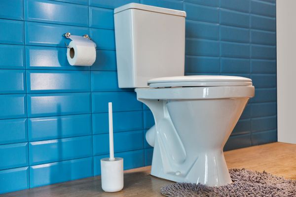 Cost of Toilet Tank Repair in Saint Charles