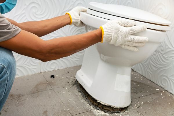 Cost of Toilet Removal in Saint Charles