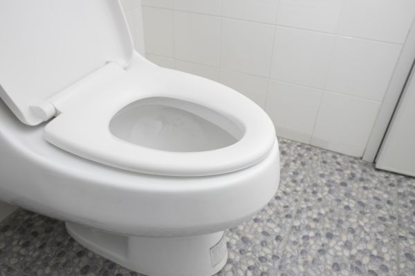 Cost of New Toilet Installation in Saint Charles